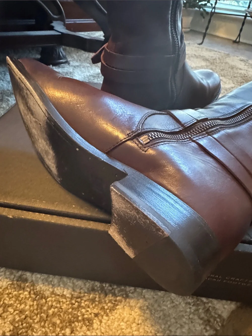 Frye Women's Melissa Belted Tall Riding Boots in Dark Brown Leather